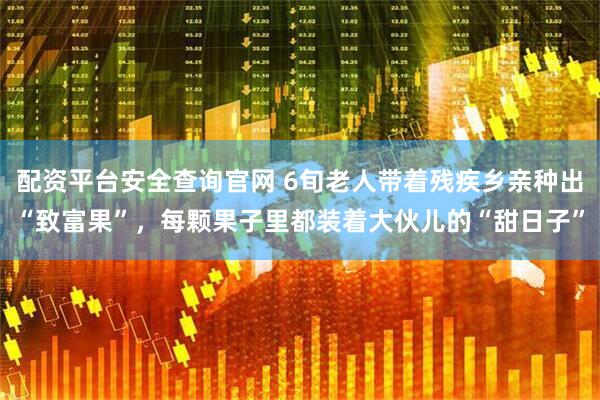 配资平台安全查询官网 6旬老人带着残疾乡亲种出“致富果”，每颗果子里都装着大伙儿的“甜日子”